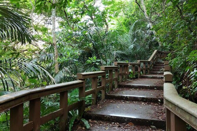 Ishigaki Island Shore Excursion, Trails and Scenic Spots - Who Will Enjoy This Tour?