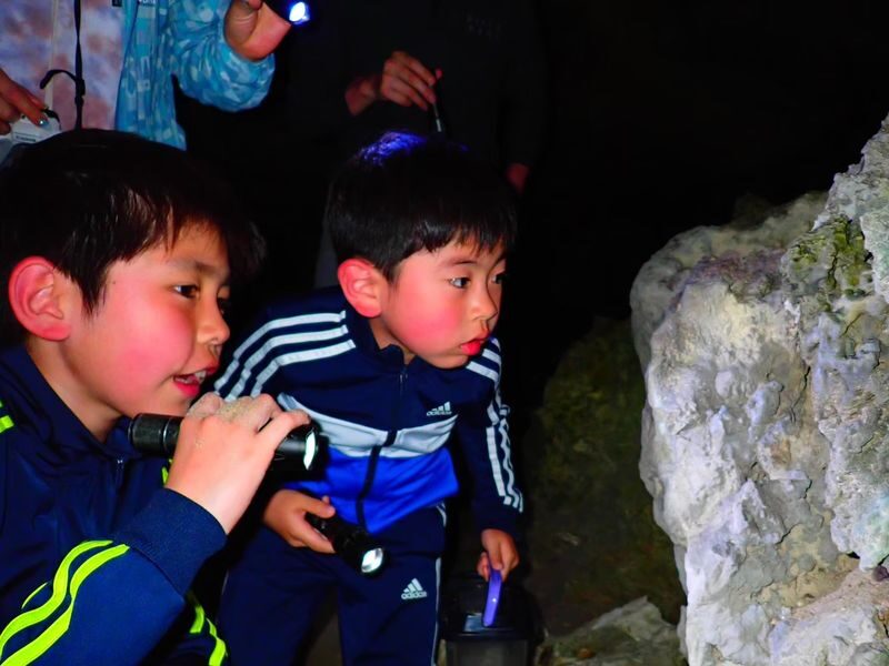 Ishigaki Island: Stargazing & Jungle Night Tour (Okinawa) - Looking up from a dark beach