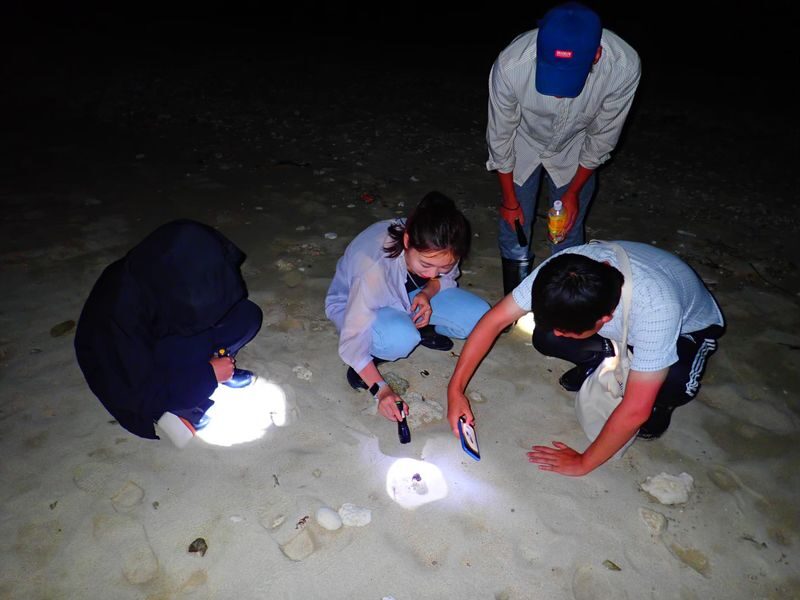 Ishigaki Island: Stargazing & Jungle Night Tour (Okinawa) - How the guides shape the night