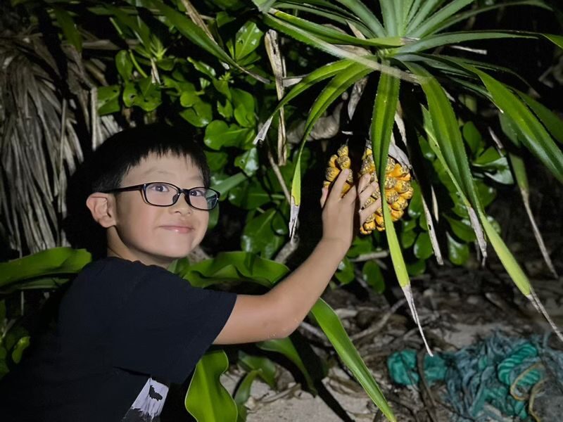 Ishigaki Island: Stargazing & Jungle Night Tour (Okinawa) - What the $30.95 starting price buys