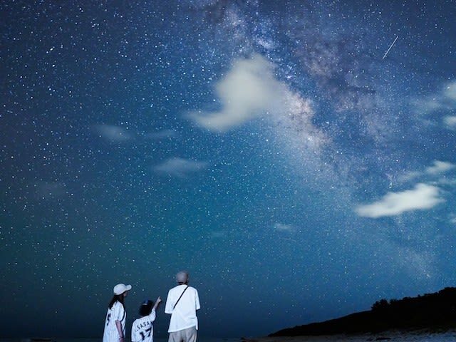 Ishigaki Island: Stargazing & Jungle Night Tour (Okinawa) - Who will enjoy this night tour most