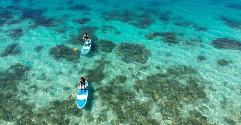 Ishigaki Island: SUP or Kayaking experience at Kabira Bay - Key Points