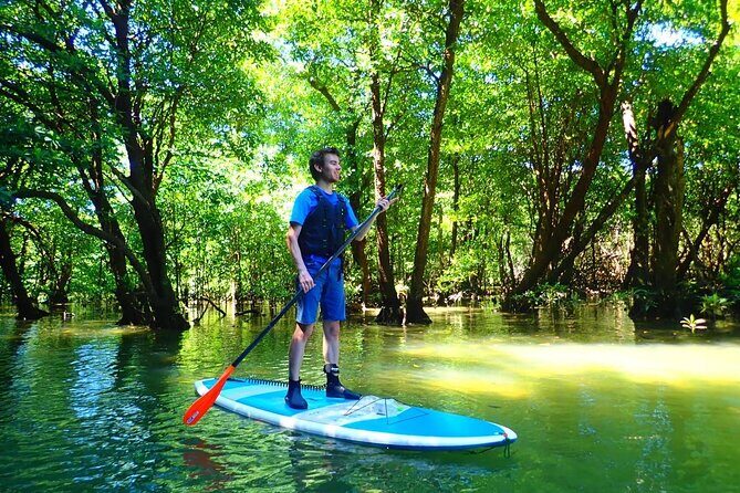 Ishigaki Mangrove Canoe / SUP & Taketomi Island Exploration - A Deep Dive into the Ishigaki Mangrove & Taketomi Tour