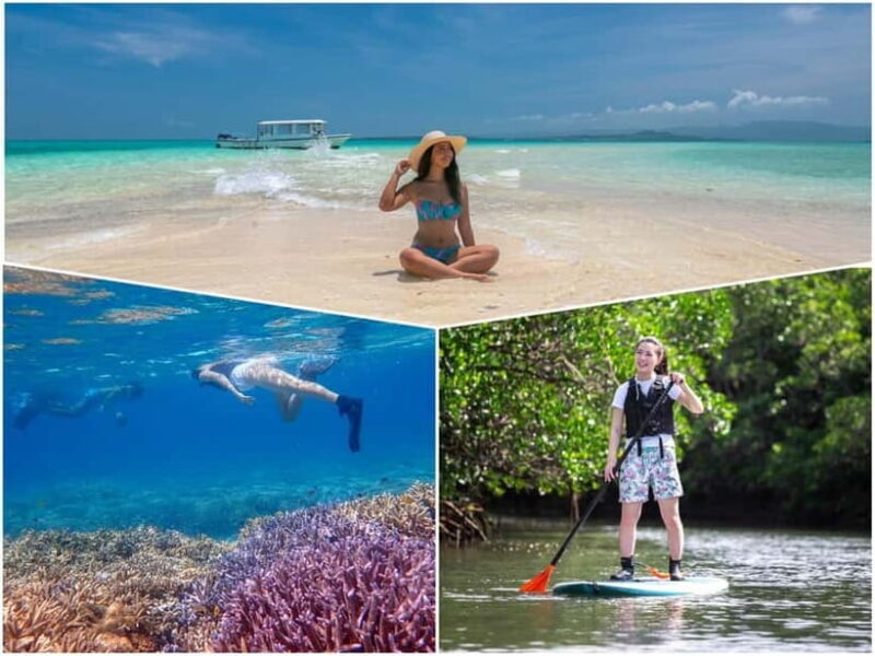 Ishigaki: Mangrove SUP or Canoe & Phantom Island Snorkeling - Who Should Consider This Tour?