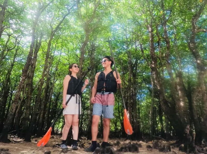 Ishigaki: Mangrove SUP or Canoe Tour  Taketomi Sightseeing - Who Should Consider This Tour?