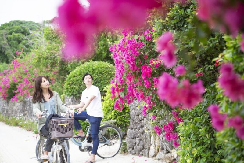 Ishigaki: Phantom Island Snorkeling and Taketomi Sightseeing - FAQ