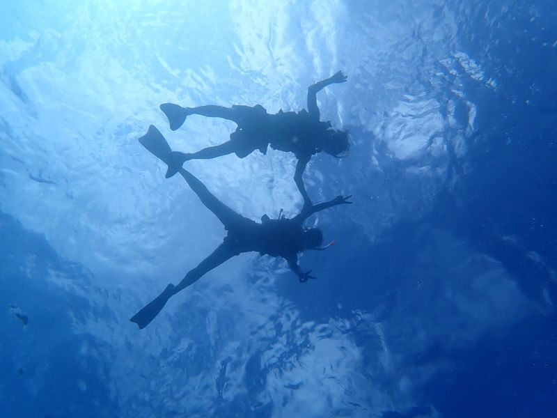 Ishigaki Sea Turtle Snorkel: Small Group/Beginner Friendly - A beach entry brings the reef within reach