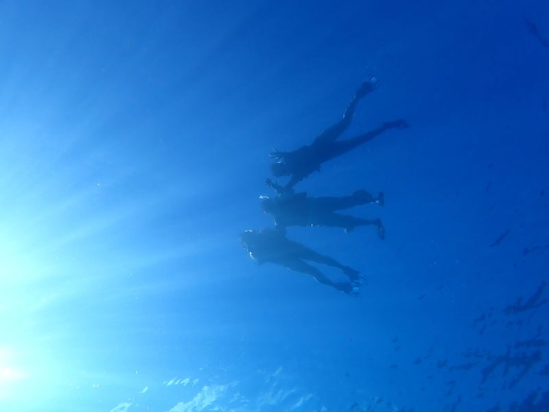Ishigaki Sea Turtle Snorkel: Small Group/Beginner Friendly - Prepare for a wet start and a simple site