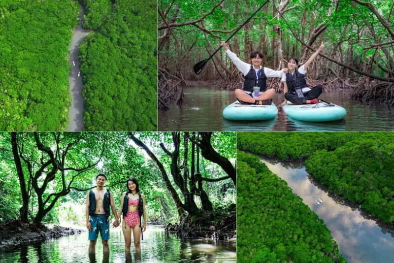 Ishigaki:Mangrove&Sea SUP/Kayak Tour with SLR&Drone footage - Key Points