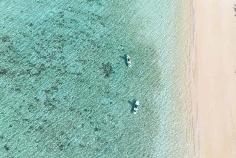 Ishigaki:Mangrove&Sea SUP/Kayak Tour with SLR&Drone footage - The Sum Up: Why This Tour Is a Wise Pick