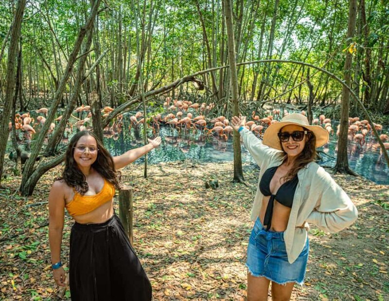 Isla Barú: Beach Club Access and Tour of the National Aviary - Key Points