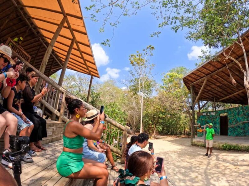 Isla Barú: Beach Club Access and Tour of the National Aviary - A Deep Dive into the Experience