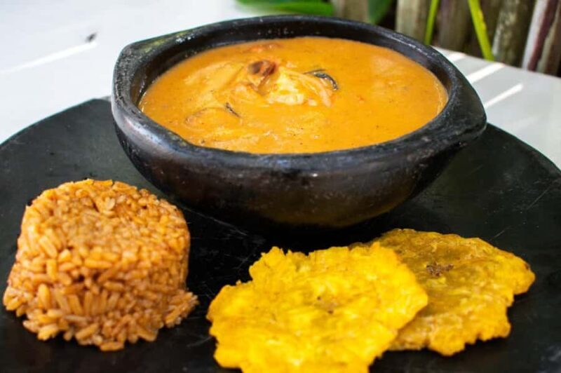 Isla Barú: Beach Club Access and Tour of the National Aviary - Final Thoughts: Who Will Love This Tour?