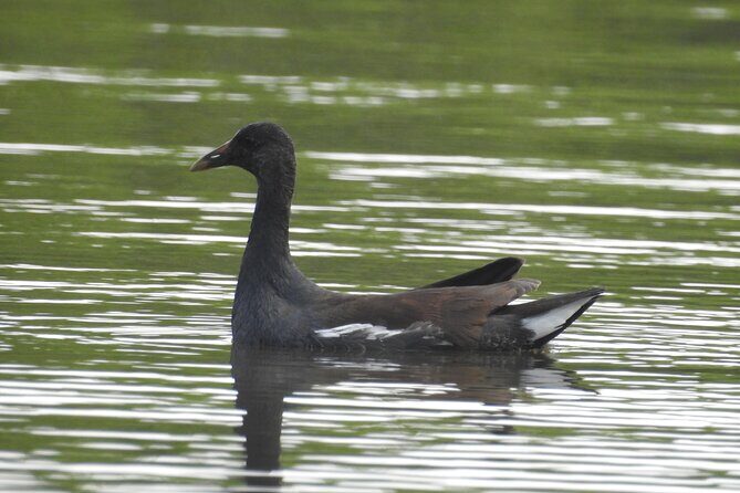 Isla Blanca wildlife expedition private bike & boat tour cancun mexico - Why This Tour Stands Out