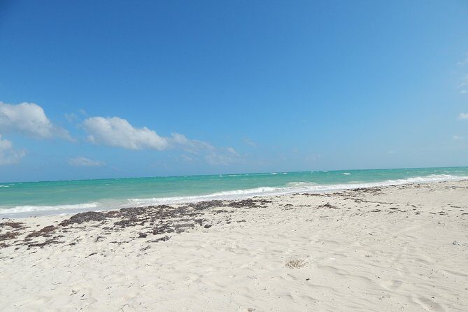 Isla Blanca wildlife expedition private bike & boat tour cancun mexico - Final Thoughts