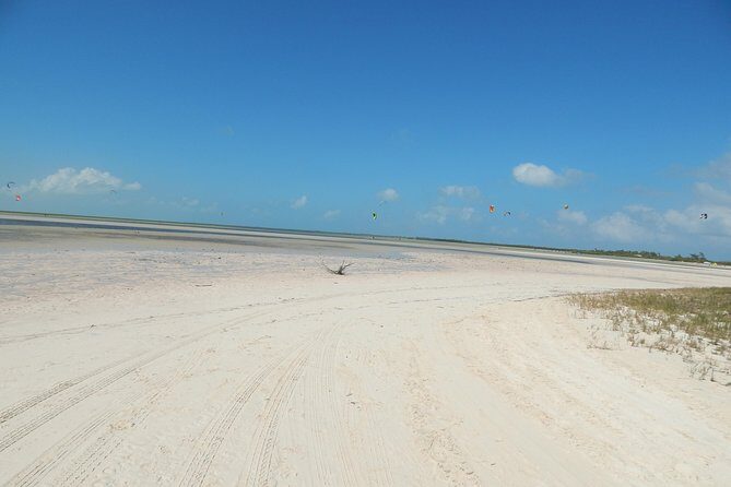 Isla Blanca wildlife expedition private bike & boat tour cancun mexico - FAQ