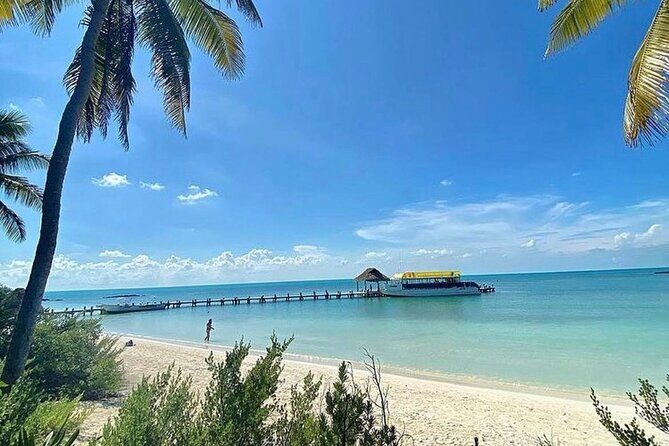 Isla Contoy Adventure Tour & Isla Mujeres from Playa del Carmen - A Detailed Look at the Tour Experience