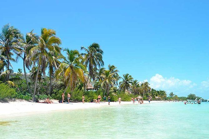 Isla Contoy Hidden Beauty! With Round Transportation From Cancun & Riviera Maya - A Detailed Look at What You Can Expect