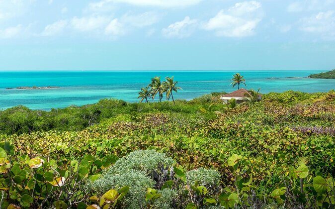 Isla Contoy & Isla Mujeres (from Playa del Carmen) - Discovering the Best of Isla Contoy & Isla Mujeres from Playa del Carmen