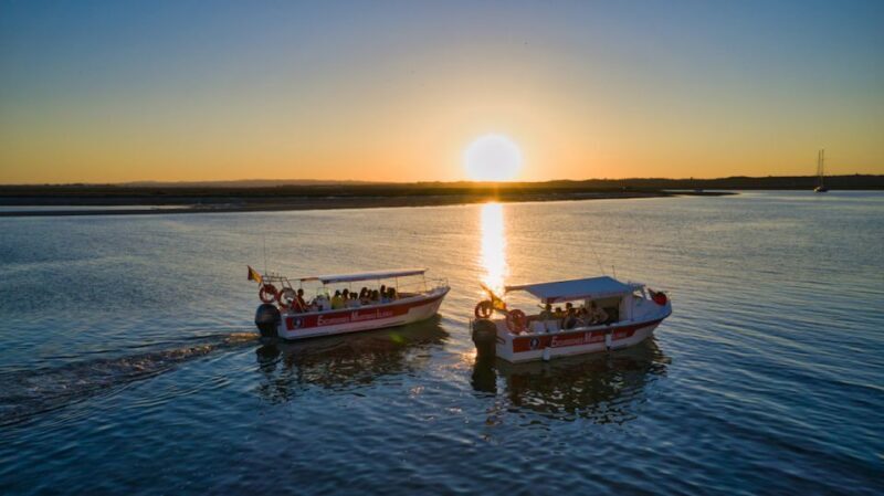 Isla Cristina/Isla Canela: Boat Trip Through the Marshes - Who Will Love This Tour?