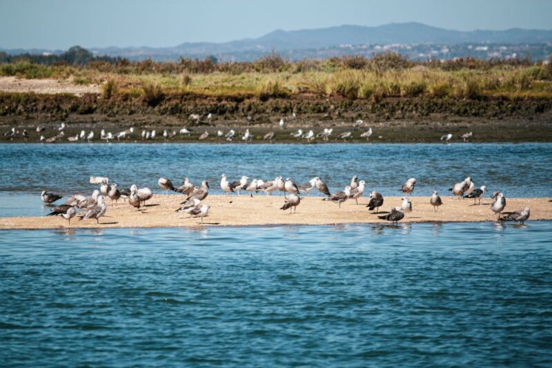 Isla Cristina/Isla Canela: Boat Trip Through the Marshes - FAQ