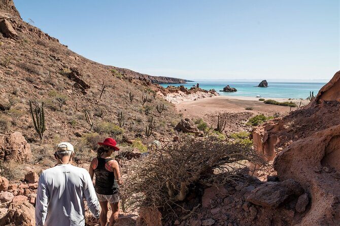 Isla Espiritu Santo Adventure: Explore the Sea of Cortez - In-Depth Review: What to Expect from Your Isla Espiritu Santo Adventure