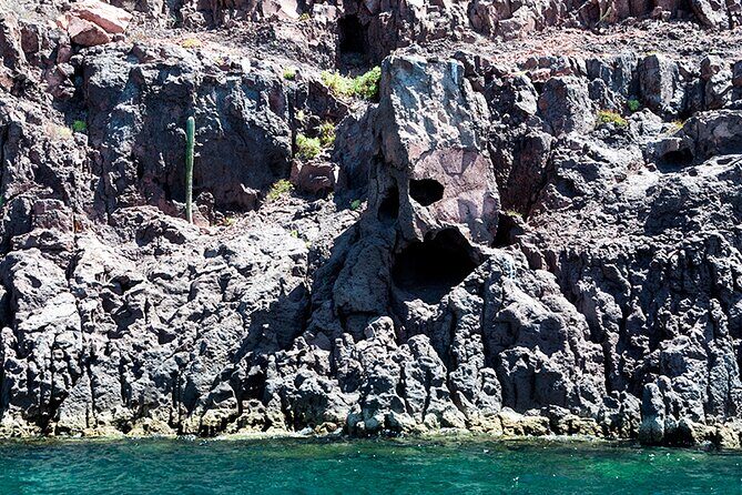 Isla Espiritu Santo and Balandra Tour - Key Points