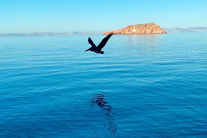 Isla Espiritu Santo and Balandra Tour - A Closer Look at the Tour Experience