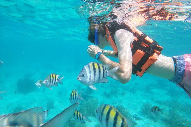 Isla Mujeres and Cancun Snorkeling and Fishing Combo - Frequently Asked Questions
