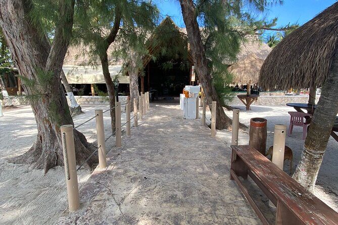 Isla Mujeres Basic Catamaran Tour with Snorkeling and Open Bar - Practical Tips for Your Day