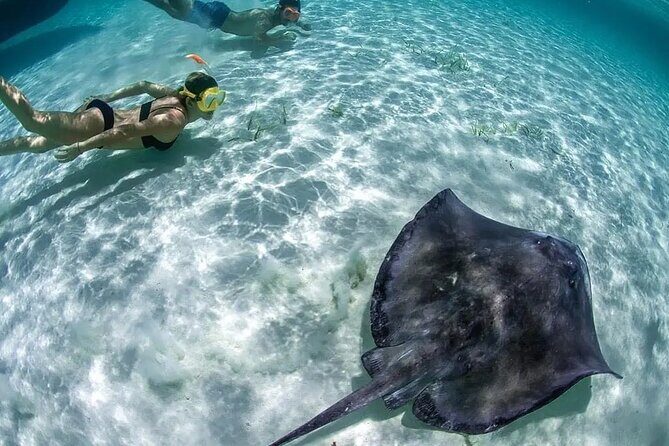 Isla Mujeres: Coral Reef Views from a Clear Boat - Final Thoughts
