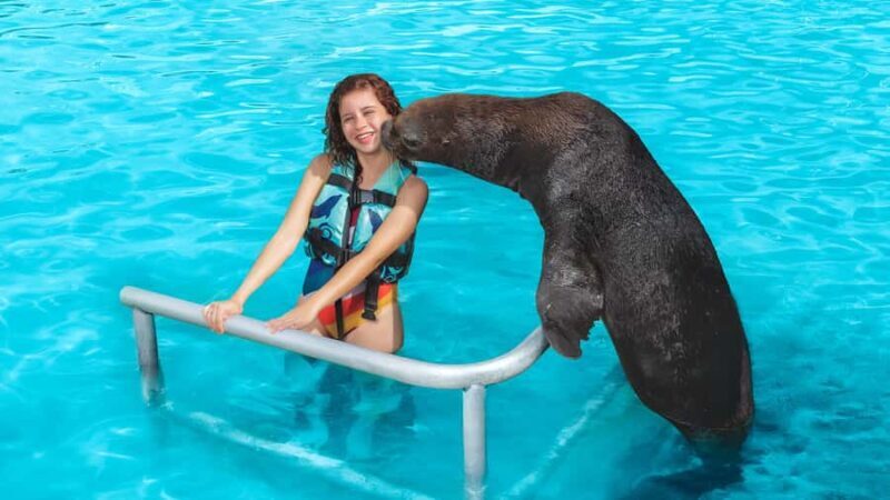 ISLA MUJERES: Dolphin Royal Connection & buffet from Cancun - The Sum Up