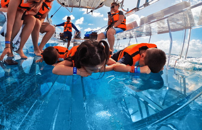 Isla Mujeres: Excursion Crystal Boat Tour at the Caribbean - Who Will Love This Tour?