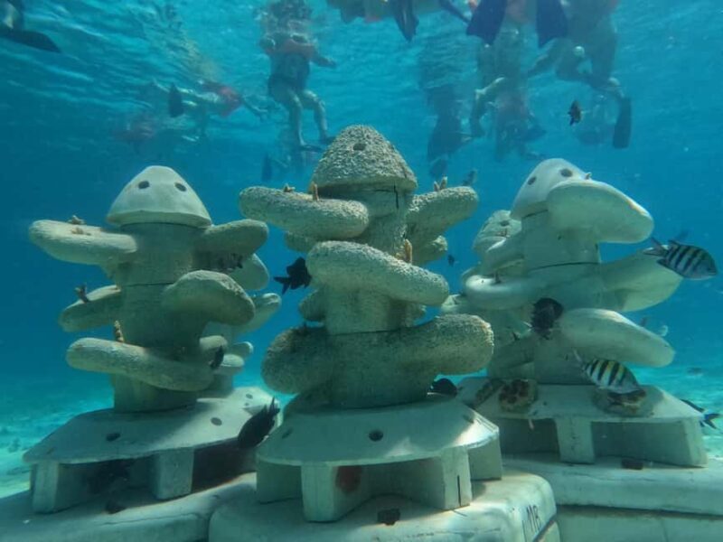 Isla Mujeres: Full Day Private Catamaran with Snorkeling - FAQ