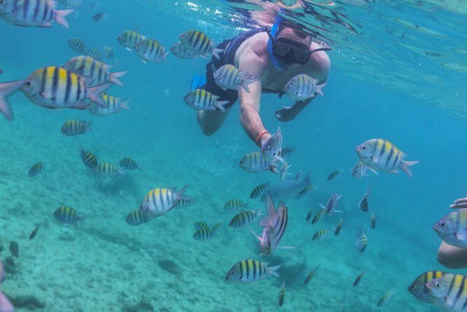 Isla Mujeres Luxury Sailing: Adults Only or Family Friendly - FAQ