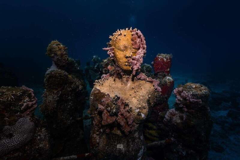 Isla Mujeres: MUSA and the Manchones Reef: 2 Tank Dive Tour - Why This Tour Stands Out