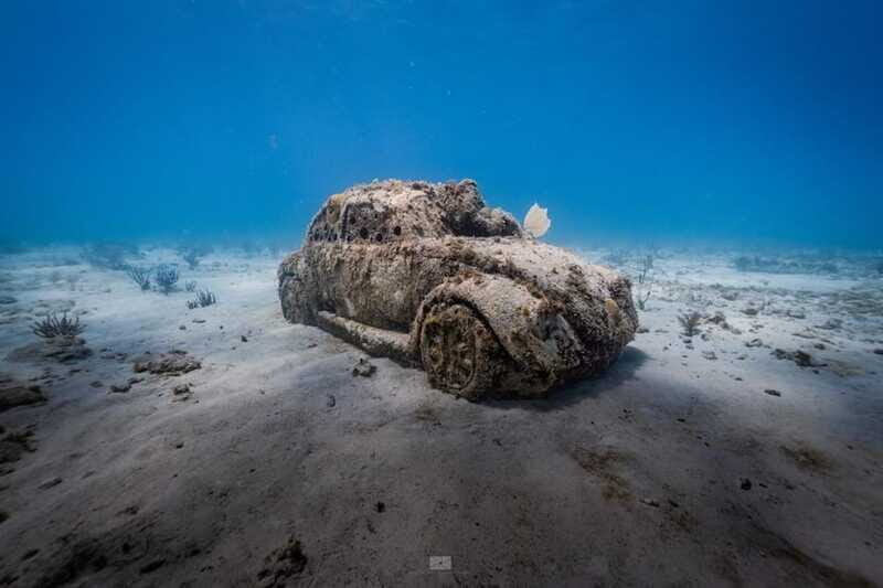 Isla Mujeres: MUSA and the Manchones Reef: 2 Tank Dive Tour - Practical Tips for a Smooth Experience