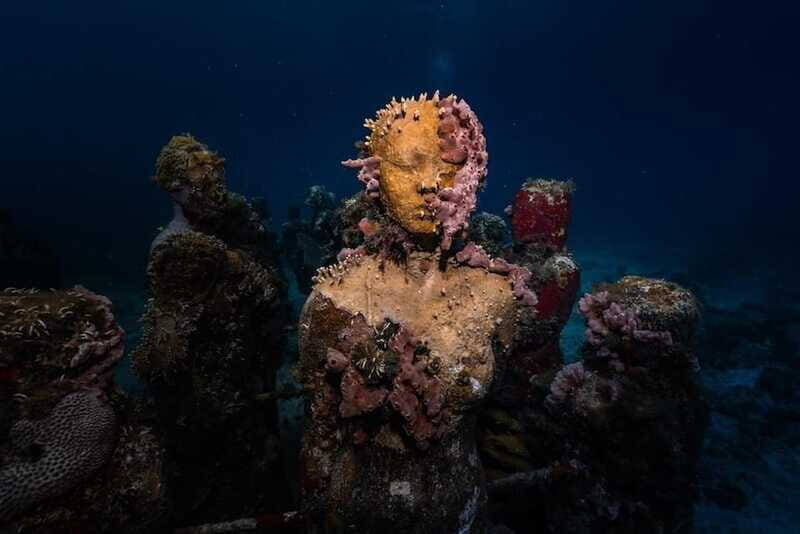 Isla Mujeres: MUSA and the Manchones Reef: 2 Tank Dive Tour - What This Tour Means for Your Trip to Isla Mujeres