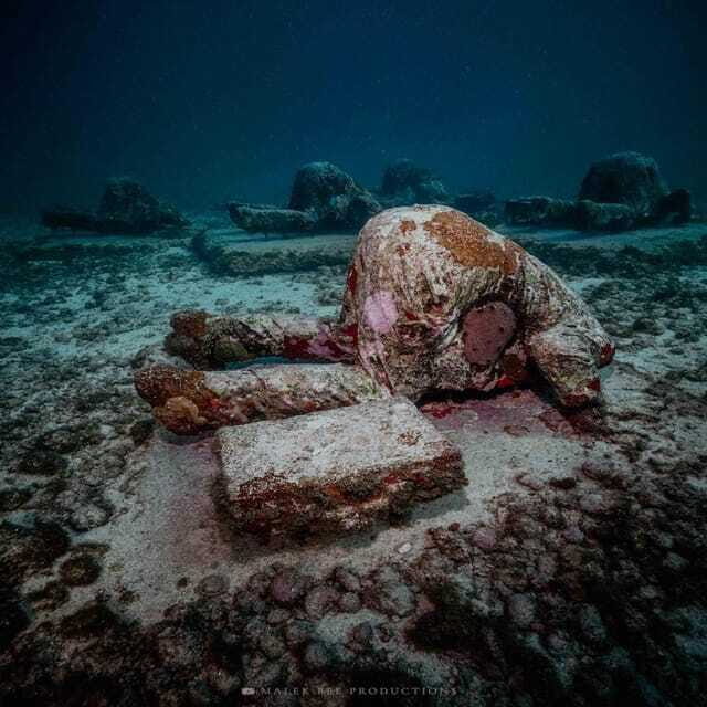 Isla Mujeres: MUSA and the Manchones Reef: 2 Tank Dive Tour - FAQs