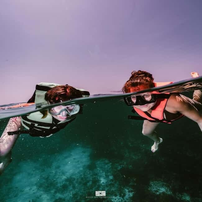 Isla Mujeres - MUSA and the Manchones Reef - Snorkel - Transportation: Speedboat to the Sites
