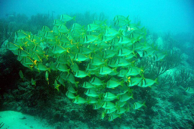 Isla Mujeres Private Dream Getaway - The Sum Up