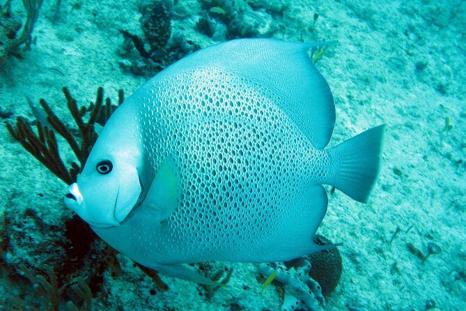 Isla Mujeres Private Dream Getaway - FAQ