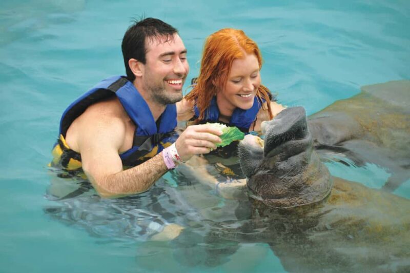 Isla Mujeres: Sea Lion & Manatee Interaction with Buffet - Key Points
