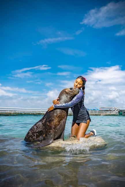 Isla Mujeres: Sea Lion & Manatee Interaction with Buffet - Authentic Feedback and Lasting Impressions