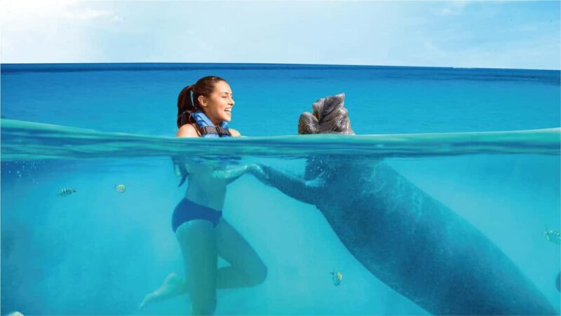 Isla Mujeres: Sea Lion & Manatee Interaction with Buffet - Final Thoughts: Is This Tour Worth It?
