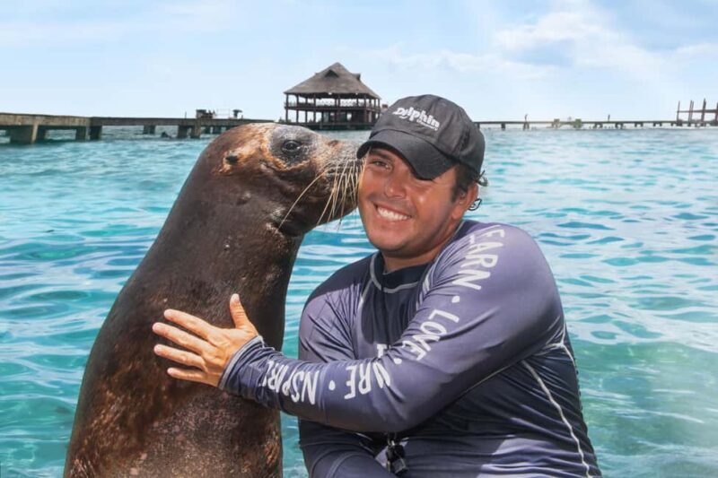 Isla Mujeres: Sea Lion & Manatee Interaction with Buffet - FAQ