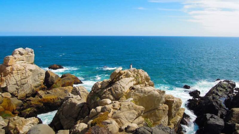 ISLA NEGRA AND ALGARROBO WITH VINICOLA UNDURRAGA - TOUR : CHILE - Key Points