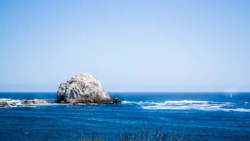 ISLA NEGRA AND ALGARROBO WITH VINICOLA UNDURRAGA - TOUR : CHILE - Final Thoughts