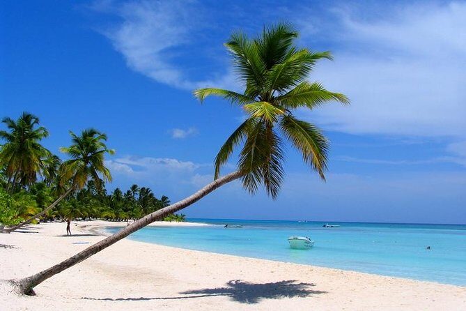 Isla Saona El Paraiso del Caribe - Key Points