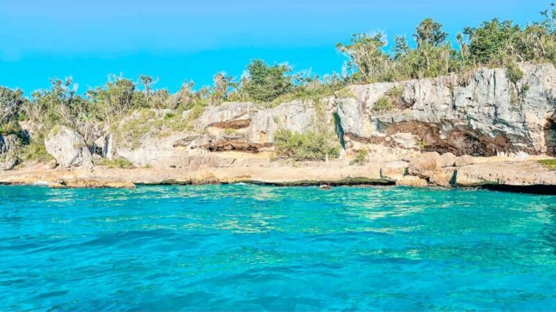 Isla Saona Speedboat Tour - Lunch, Wildlife & Natural Pools - The Sum Up